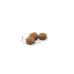 Royal Canin Sterilised Kısırlaştırılmış Kedi Maması 400 gr