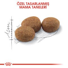 Royal Canin Sterilised Kısırlaştırılmış Kedi Maması 4 Kg