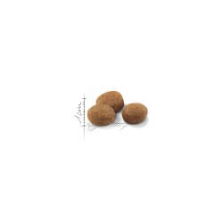 Royal Canin Sterilised +7 Kısırlaştırılmış Yaşlı Kedi Maması 1.5Kg