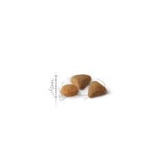 Royal Canin Exigent Hassas Seçici Kediler için Kedi Maması 10Kg