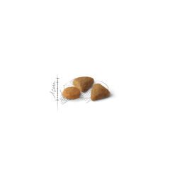 Royal Canin FUSSY Exigent Kedi Maması 10Kg