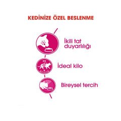 Royal Canin FUSSY Exigent Kedi Maması 10Kg