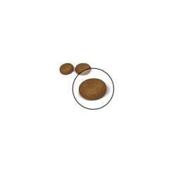Royal Canin Hair Skin Kedi Maması 2Kg