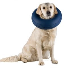 Trixie Köpek Koruyucu Şişme Yakalık Medium - Large, Mavi