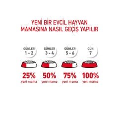 Royal Canin Kitten British Shorthair Yavru Kedi Maması 2Kg