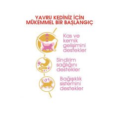 Royal Canin Kitten British Shorthair Yavru Kedi Maması 2Kg