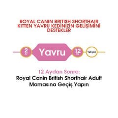 Royal Canin Kitten British Shorthair Yavru Kedi Maması 2Kg