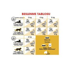 Royal Canin Sphynx Yetişkin Kedi Maması 2 Kg