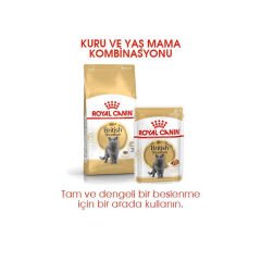Royal Canin British Shorthair Kedi Maması 4 kg
