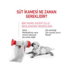 Royal Canin Baby Cat Milk Yavru Kedi Süt Tozu 300 gr