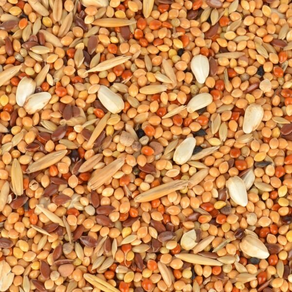 Quik Muhabbet Kuşu Kızıştırıcı Yemi 150 gr 5 Adet