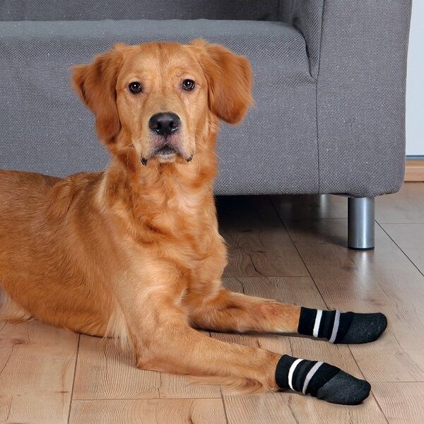 Trixie Köpek Çorabı Kaymaz XLarge 2 Adet Siyah