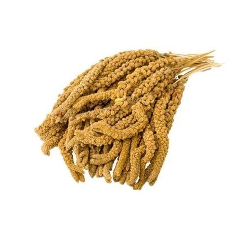 eurogold İthal Sarı Dal Darı 1 Kg