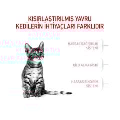 Royal Canin Kitten Sterilised Yavru Kedi Maması 2 Kg