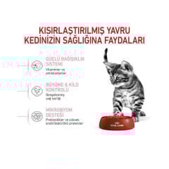 Royal Canin Kitten Sterilised Yavru Kedi Maması 2 Kg