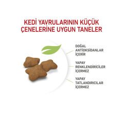 Royal Canin Kitten Sterilised Yavru Kedi Maması 2 Kg