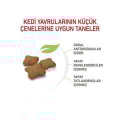 Royal Canin Kitten Sterilised Yavru Kedi Maması 2 Kg