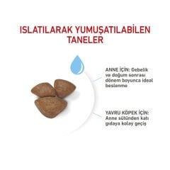 Royal Canin Mini Starter Mother & Babydog 4 Kg