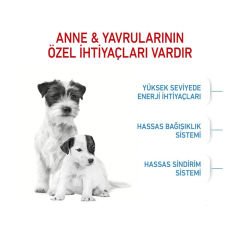 Royal Canin Mini Starter Mother Babydog 4 Kg