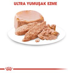 Royal Canin Starter Yavru Köpek Konservesi 195Gr