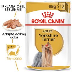 Royal Canin Yorkshire Köpek Konservesi 85 gr