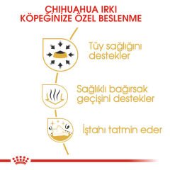 Royal Canin Chihuahua Köpek Konservesi 85 gr