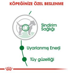 Royal Canin Mini Adult Küçük Irk Pouch Konserve 85 gr