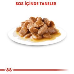 Royal Canin Mini Ageing Küçük Irk Yaşlı Köpek Pouch Konserve 85 gr