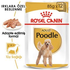 Royal Canin POODLE Pouch 85 gr