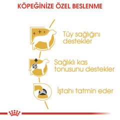 Royal Canin POODLE Pouch 85 gr
