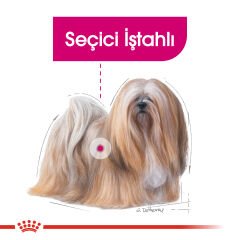 Royal Canin CCN Exigent Seçici Köpek Konservesi 85 Gr