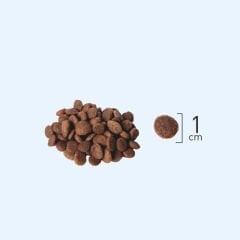 Natura LowGrain Sterilised Cat Food with Chicken,Turkey&Blueberry 2kg