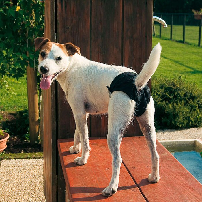 Ferplast Hijyenik Köpek Kilodu Small