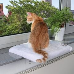 Trixie Kedi İçin Cam Önü Oturma Platformu Beyaz 51 cm x 36 cm