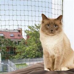 Trixie Kedi için Cam Koruma Ağı 200 cm x 150 cm