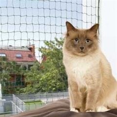 Trixie Kedi Cam Koruma Ağı 4 metre x 3 metre