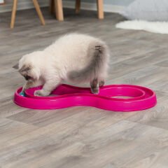 Trixie Kedi Oyuncak, Top Kovalama, 65Cmx31Cm Pembe