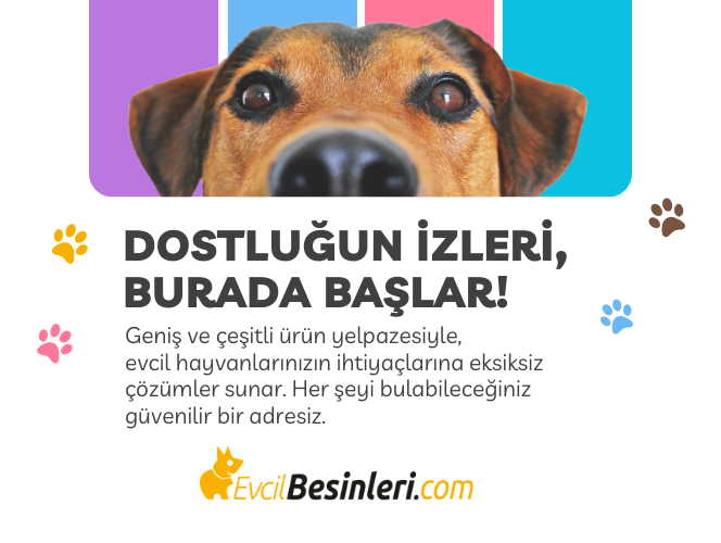                  🛒 BİZ KİMİZ? 🔒